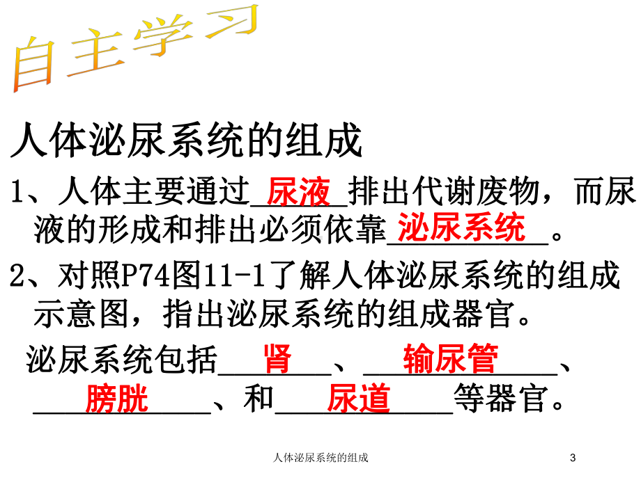 人体泌尿系统的组成培训课件.ppt_第3页