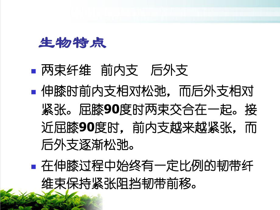 交叉韧带重建后康复上海六院康复科的课件.ppt_第2页