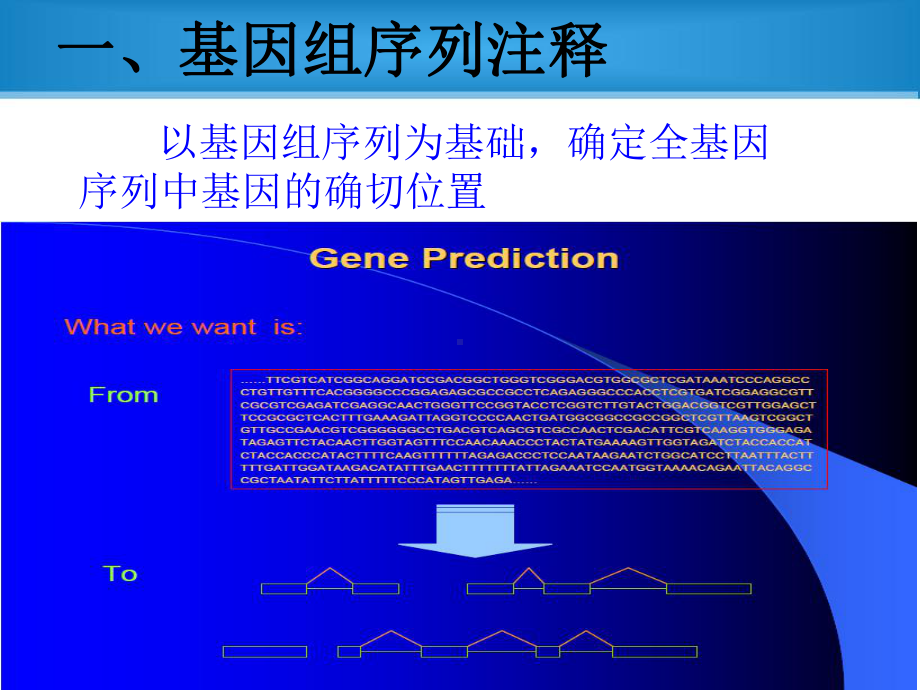 基因组序列注释的方法综述课件.ppt_第2页