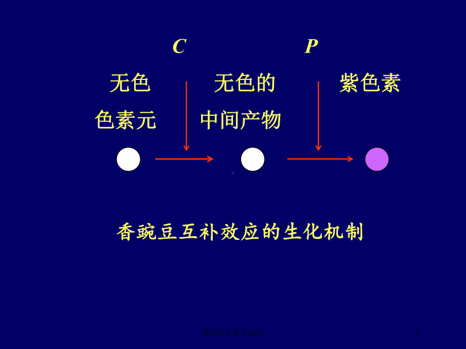 基因互作医学知识培训课件.ppt_第3页