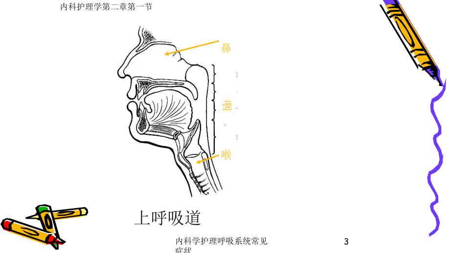 内科学护理呼吸系统常见症状培训课件.ppt_第3页