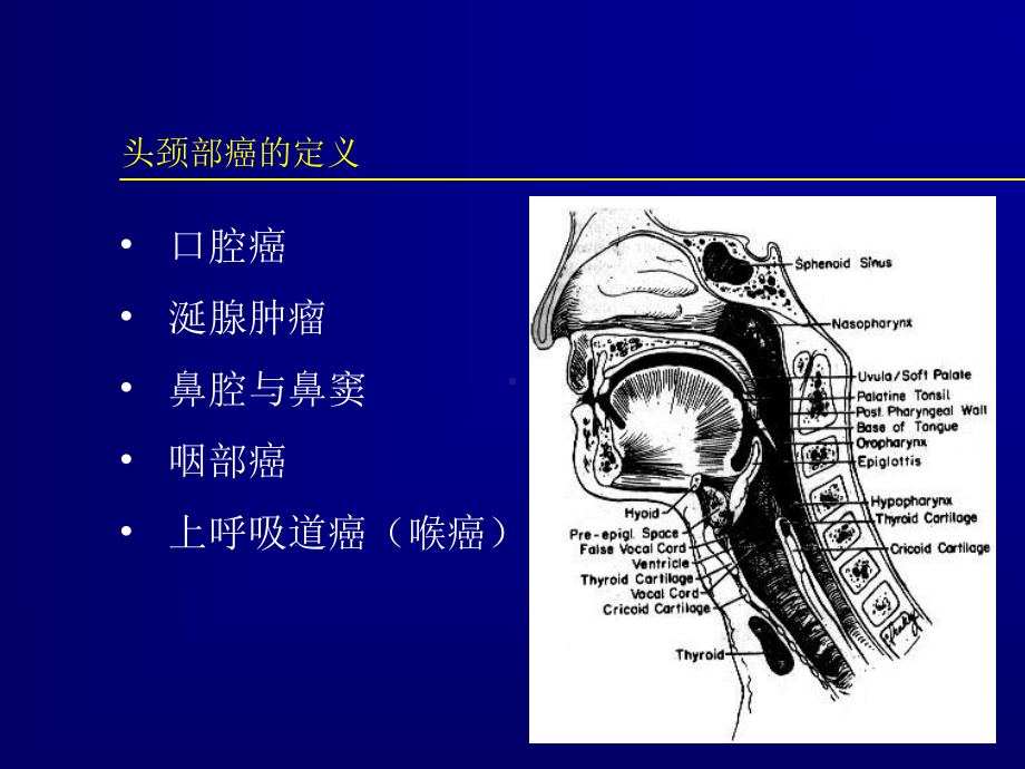 头颈部癌的放射治疗课件.pptx_第2页