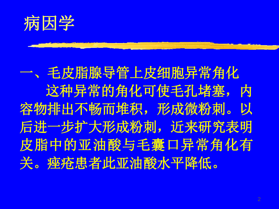 寻常痤疮的发病机理及其治疗教学课件.ppt_第2页