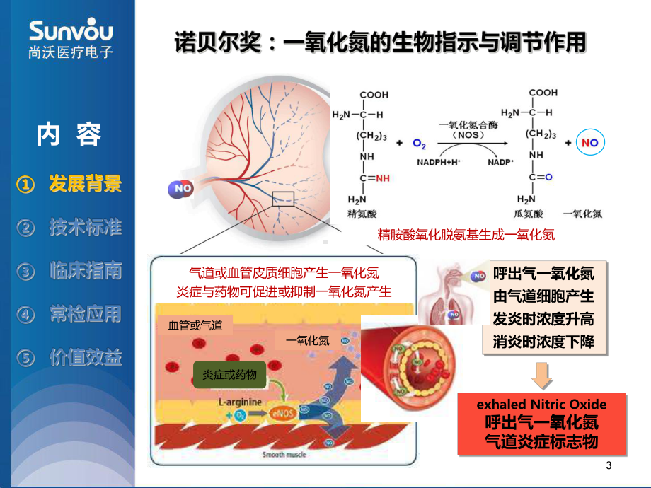 呼出气一氧化氮临床指南及应用课件-2.ppt_第3页