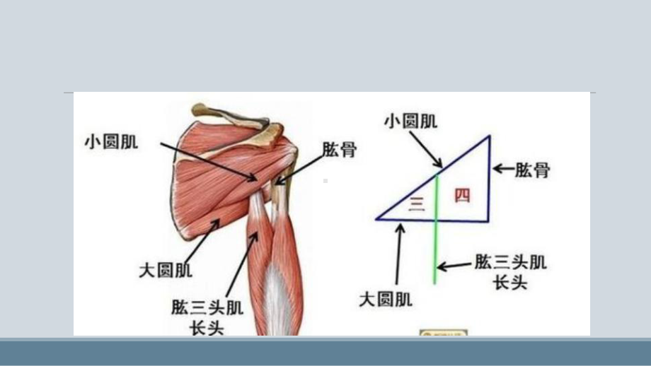 四边孔综合症课件.ppt_第3页