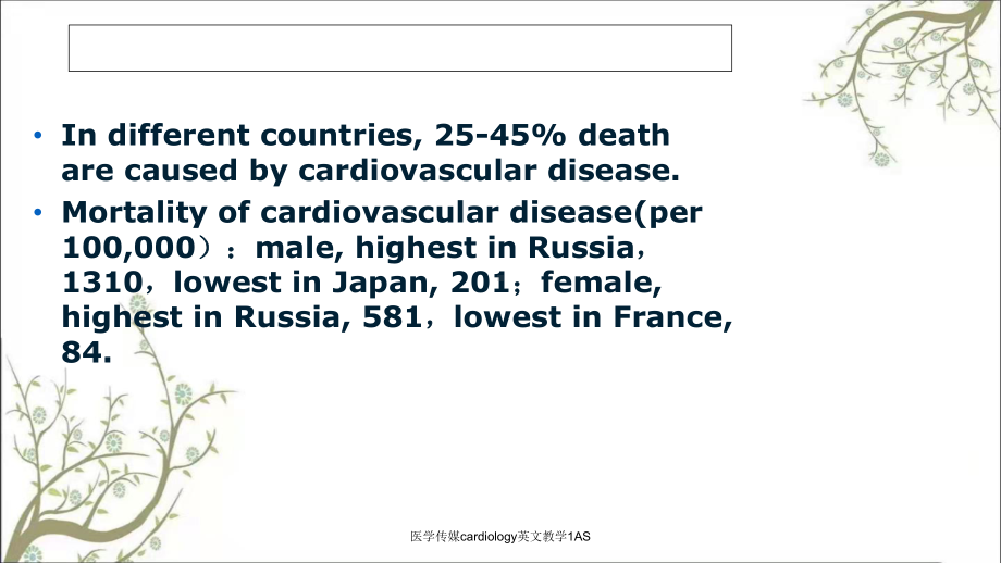 医学传媒cardiology英文教学1AS课件.ppt_第3页