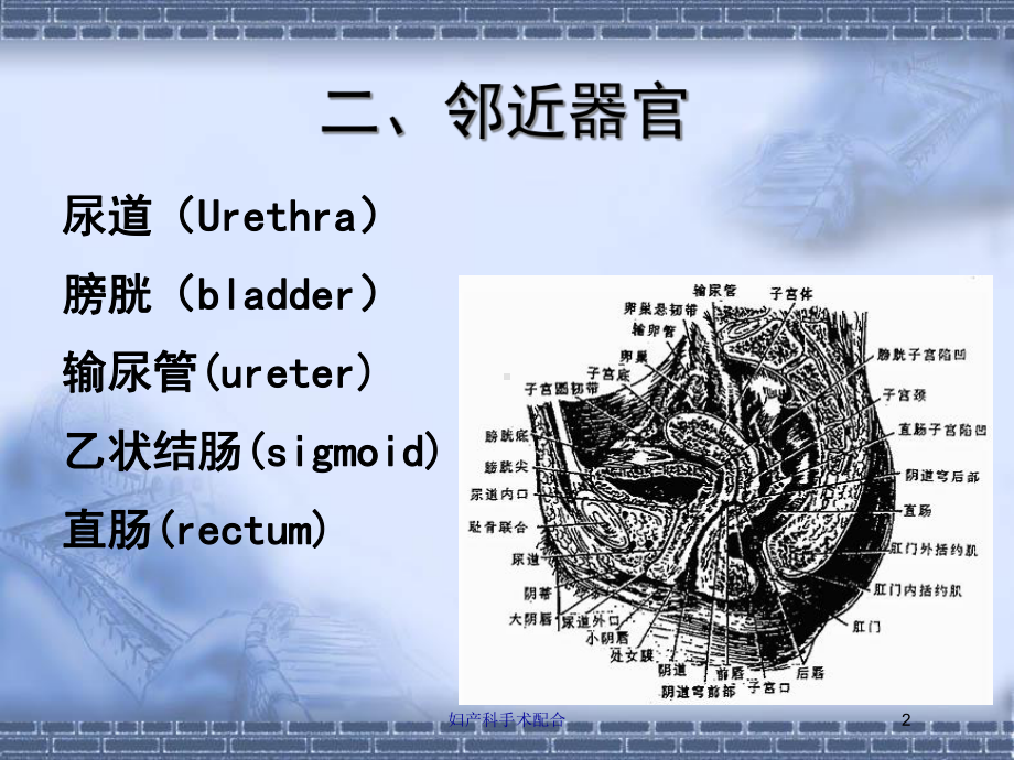 妇产科手术配合培训课件.ppt_第2页