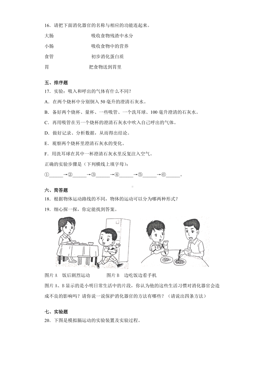 2022新大象版四年级上册《科学》期末综合训练（试题).docx_第2页