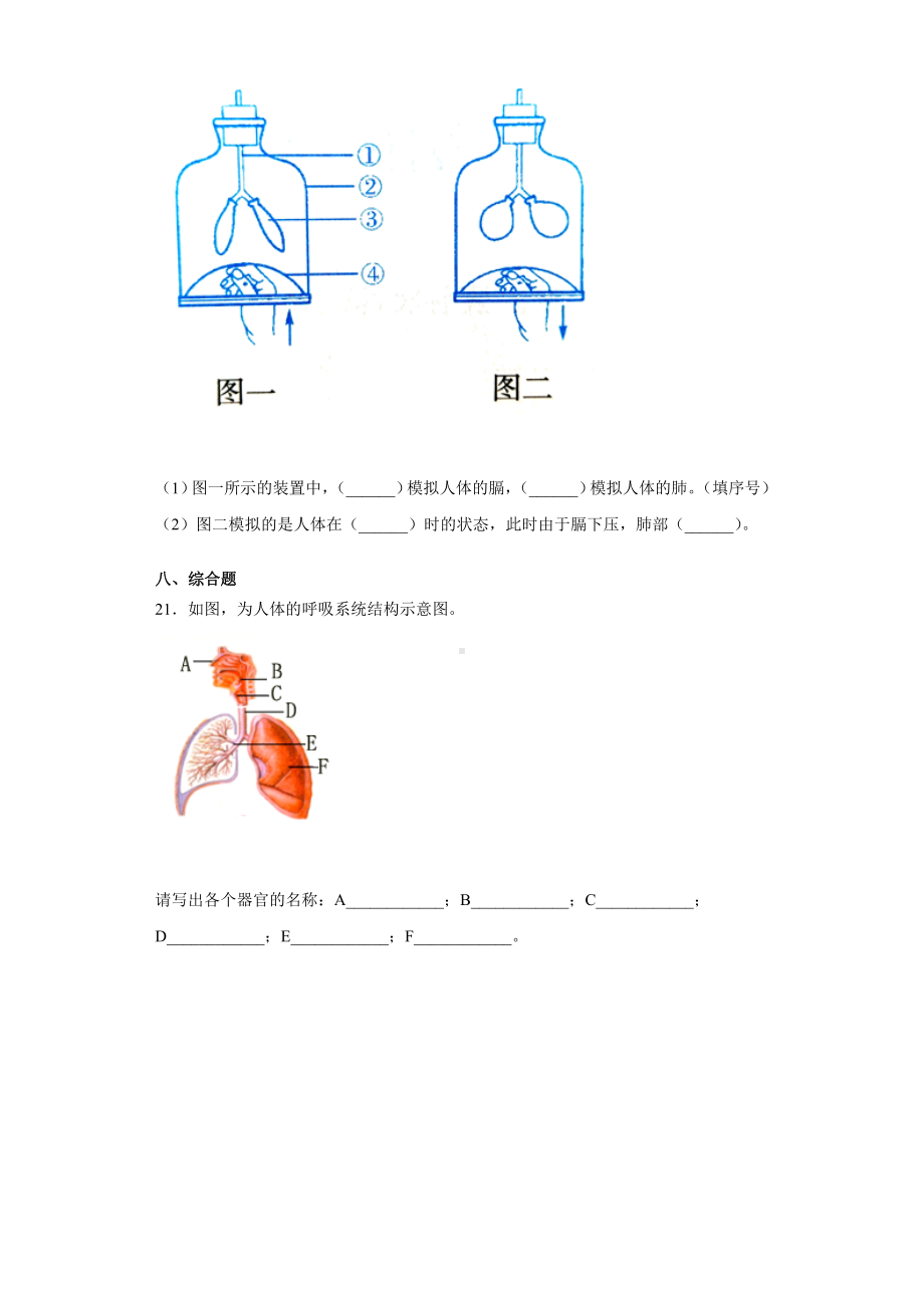 2022新大象版四年级上册《科学》期末综合训练（试题).docx_第3页