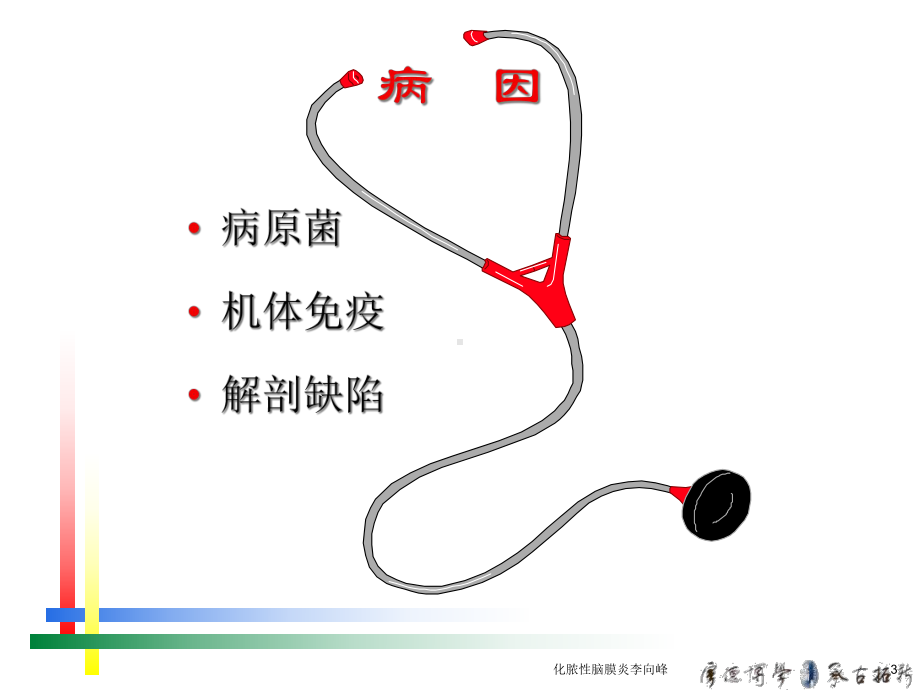 化脓性脑膜炎-课件.ppt_第3页