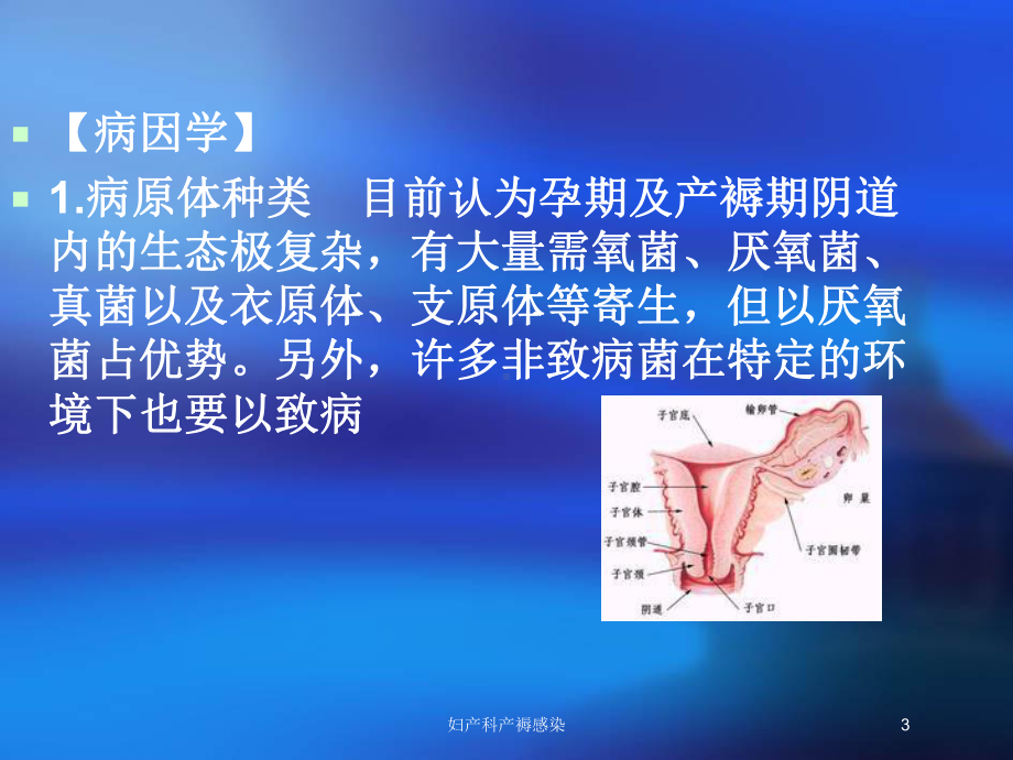 妇产科产褥感染培训课件.ppt_第3页