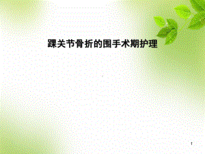 医学课件-踝关节骨折的围手术期护理课件.ppt