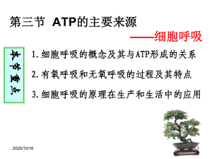 人教版教学课件ATP的主要来源-细胞呼吸教学课件.ppt