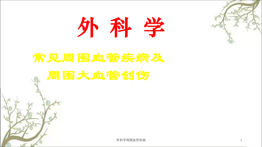 外科学周围血管疾病课件.ppt_第1页