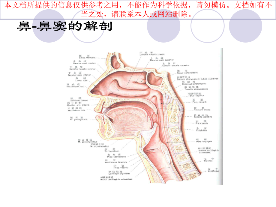 儿童鼻鼻窦炎的诊疗和鉴别培训课件.ppt_第1页