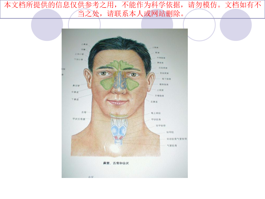 儿童鼻鼻窦炎的诊疗和鉴别培训课件.ppt_第2页