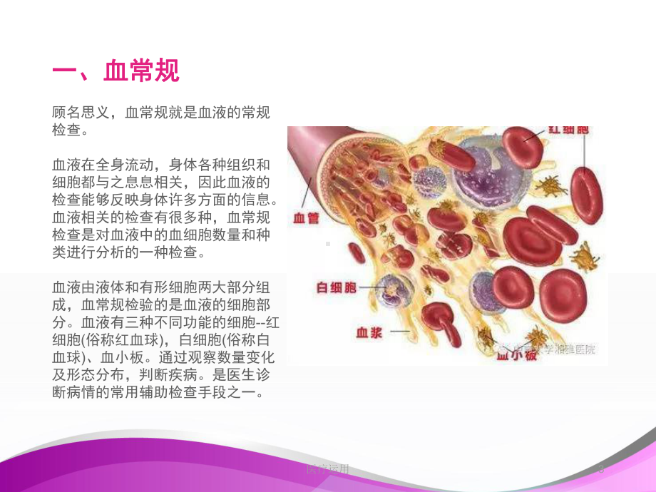 化验结果的临床意义(医疗经验)课件.ppt_第3页