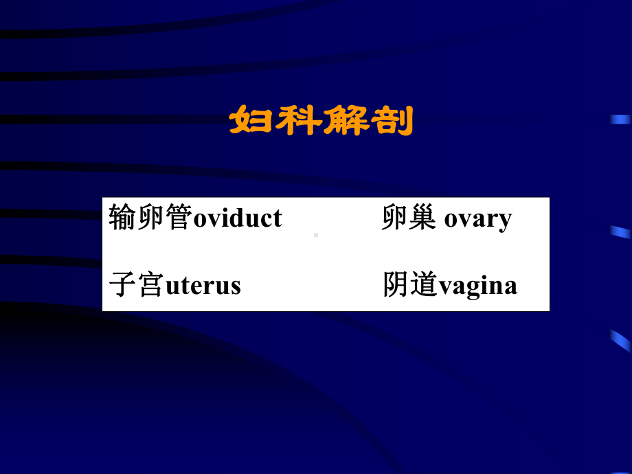 妇产超声医学课件.ppt_第3页