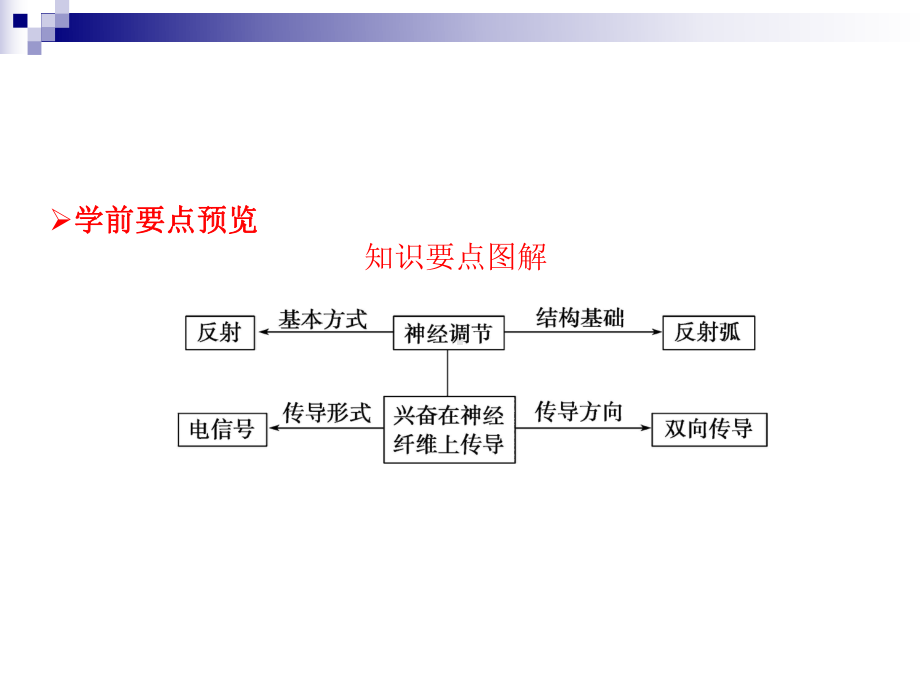 人教版必修3-通过神经系统的调节-课件-(36张).ppt_第2页