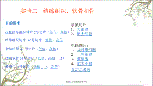 实验二结缔组织软骨和骨课件.ppt