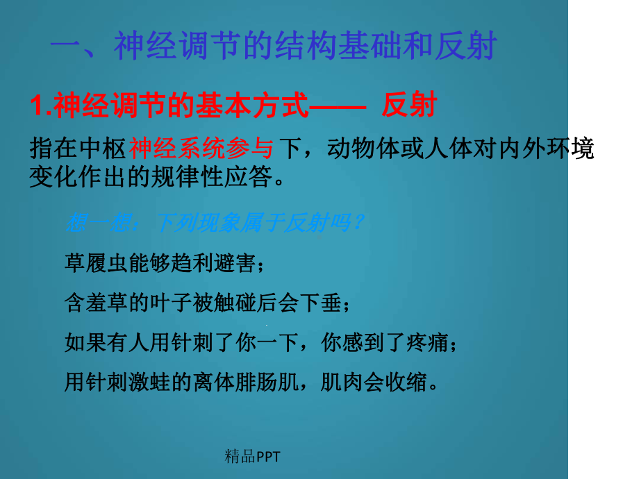 人教版高中生物必修3第2章动物和人体生命活动的调节第1节通过神经系统的调节课件10.ppt_第3页