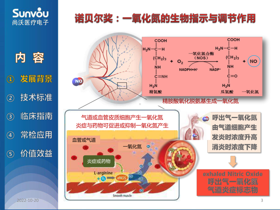 呼出气一氧化氮临床指南及应用参考课件.ppt_第3页