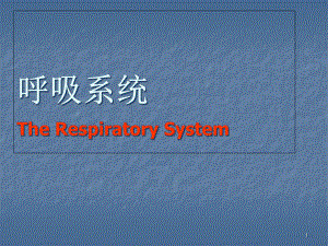 医学课件-呼吸系统解剖常见疾病及护理技术教学课件.ppt