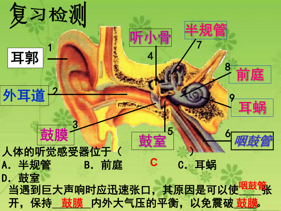 定稿神经系统的组成课件.ppt_第2页