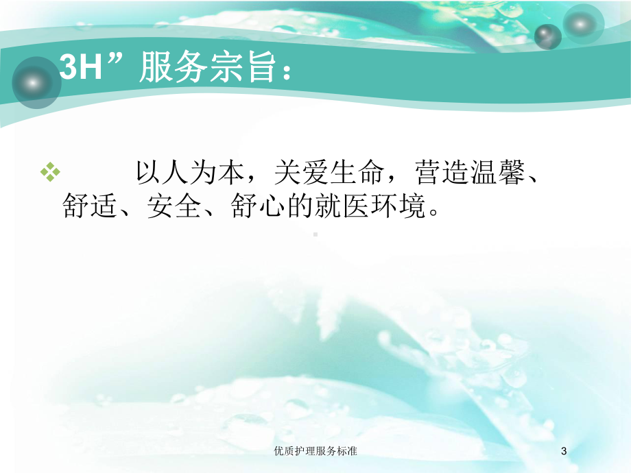 优质护理服务标准培训课件.ppt_第3页