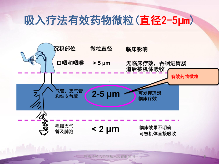 呼吸科吸入药物吸入装置的使用培训课件.ppt_第3页