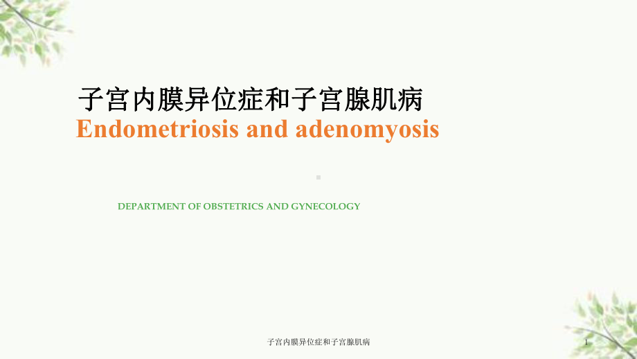 子宫内膜异位症和子宫腺肌病课件.ppt_第1页