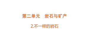 2.2 不一样的岩石 ppt课件-2022新大象版四年级上册《科学》.pptx