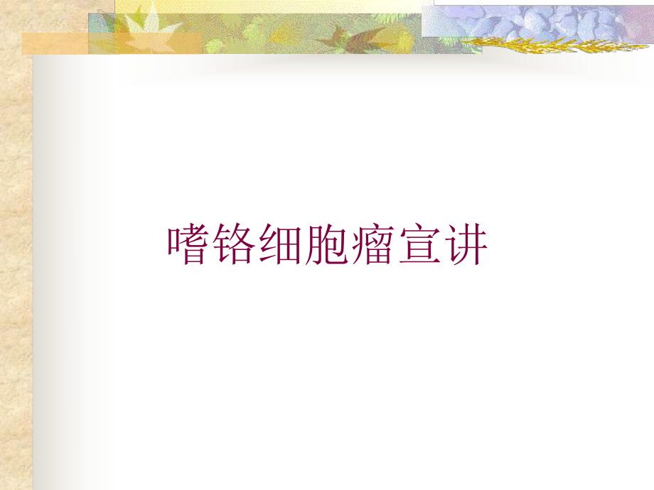 嗜铬细胞瘤宣讲培训课件.ppt_第1页