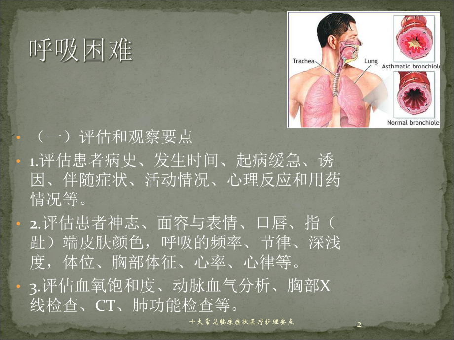 十大常见临床症状医疗护理要点培训课件.ppt_第2页