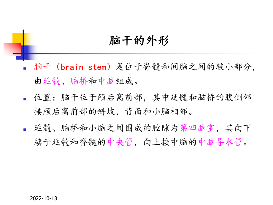 医学课件脑干的解剖和临床综合征.ppt_第3页