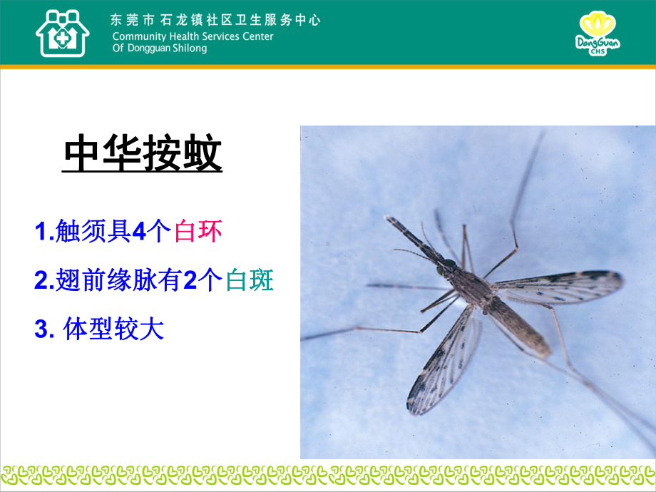 医学课件蚊媒传染病的预防与控制.ppt_第3页