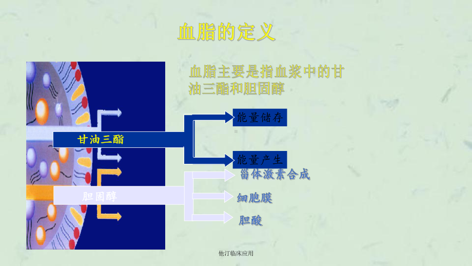 他汀临床应用课件.ppt_第3页