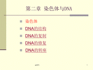 分子生物学染色体与DNA课件.ppt