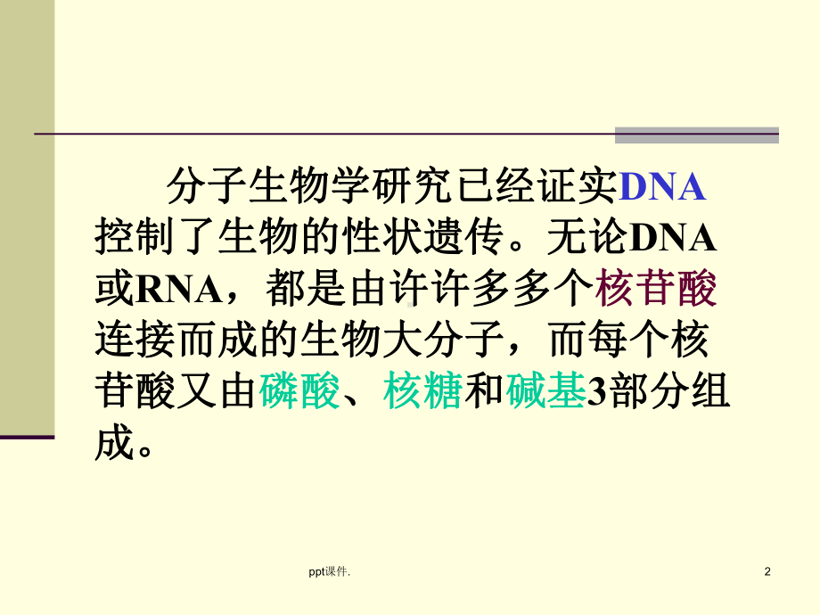 分子生物学染色体与DNA课件.ppt_第2页