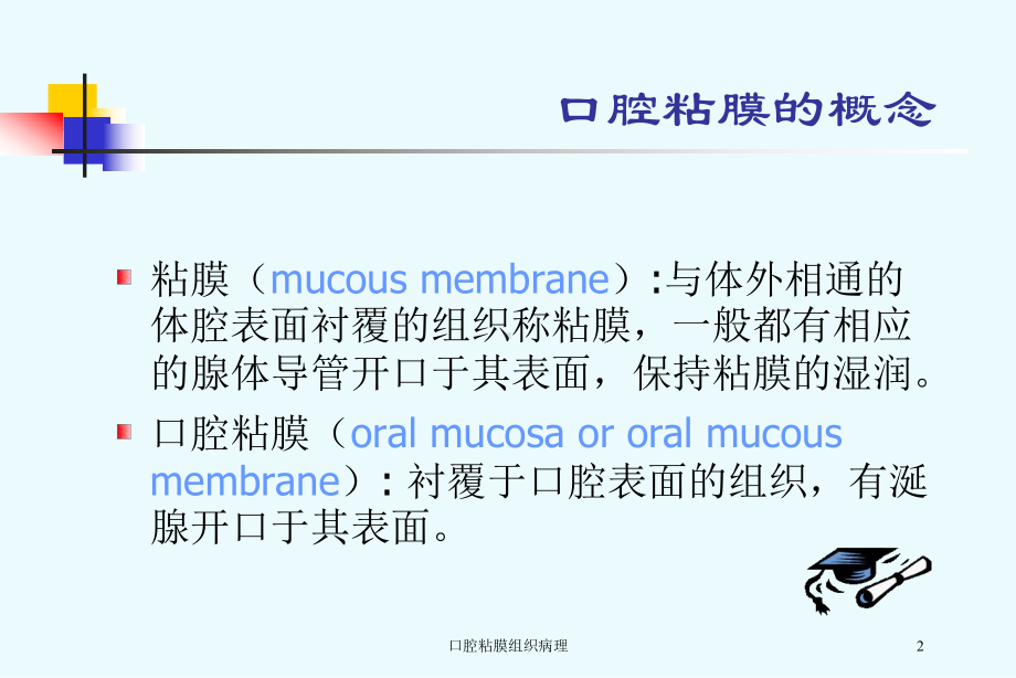 口腔粘膜组织病理培训课件.ppt_第2页