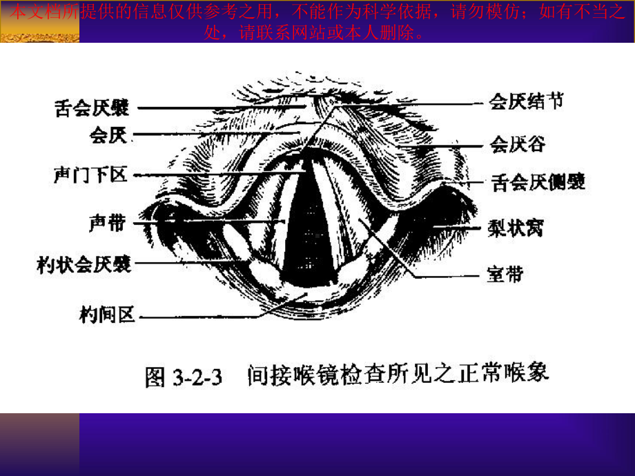 喉的临床应用解剖学和生理学培训课件.ppt_第1页