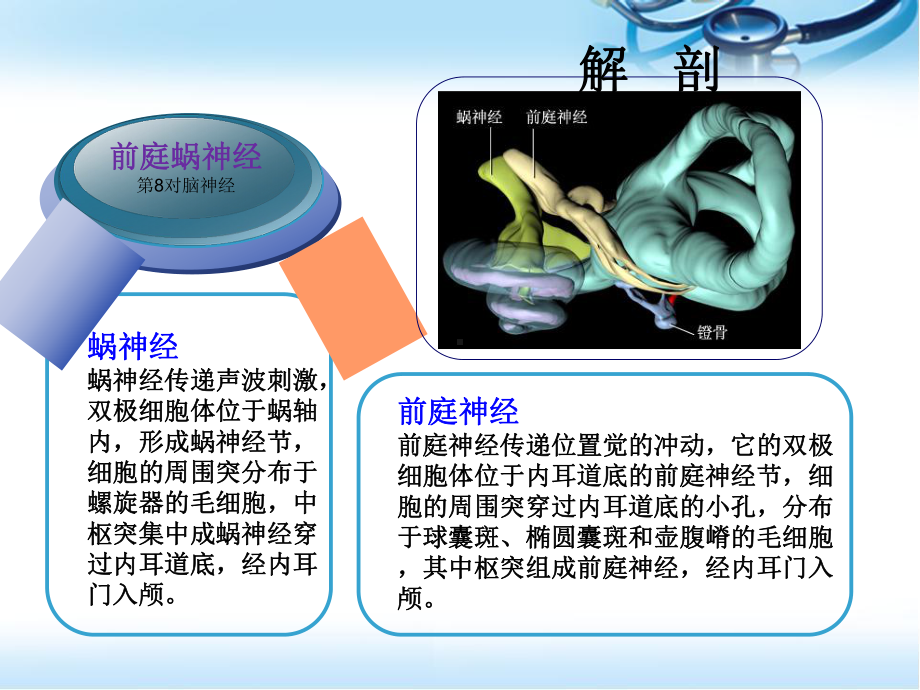 听神经瘤切除术参考课件.ppt_第3页