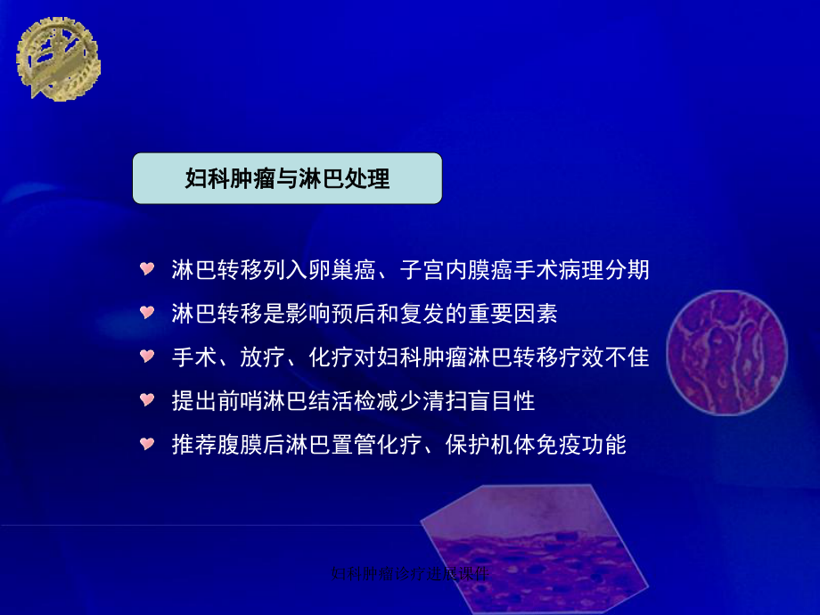 妇科肿瘤诊疗进展课件.ppt_第3页