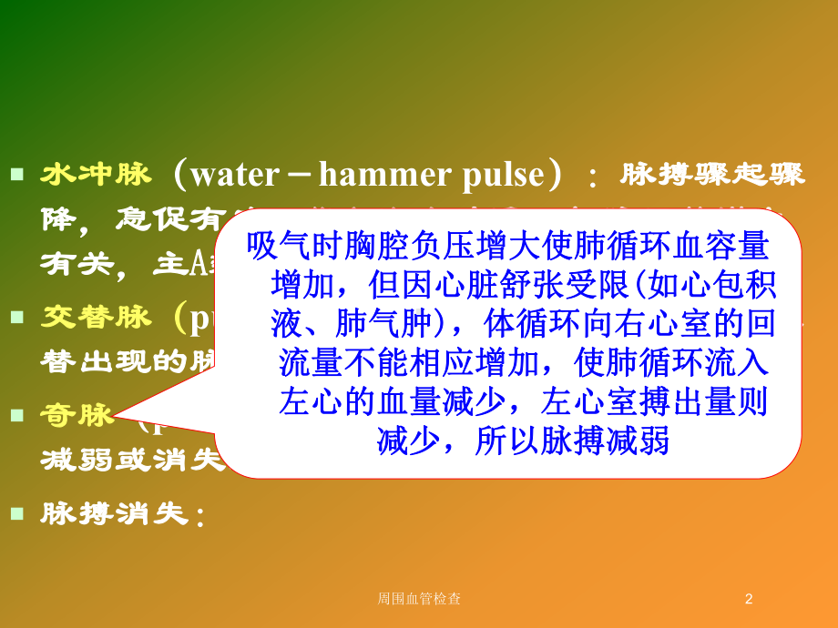 周围血管检查培训课件.ppt_第2页