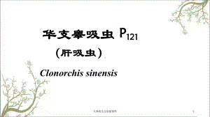 人体寄生虫实验课件.ppt