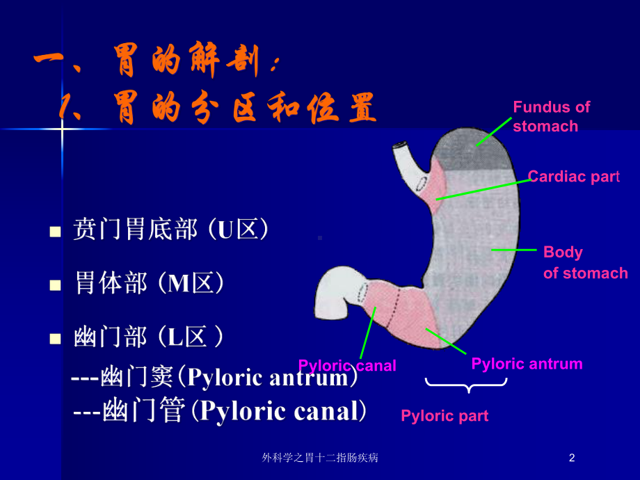 外科学之胃十二指肠疾病培训课件.ppt_第2页