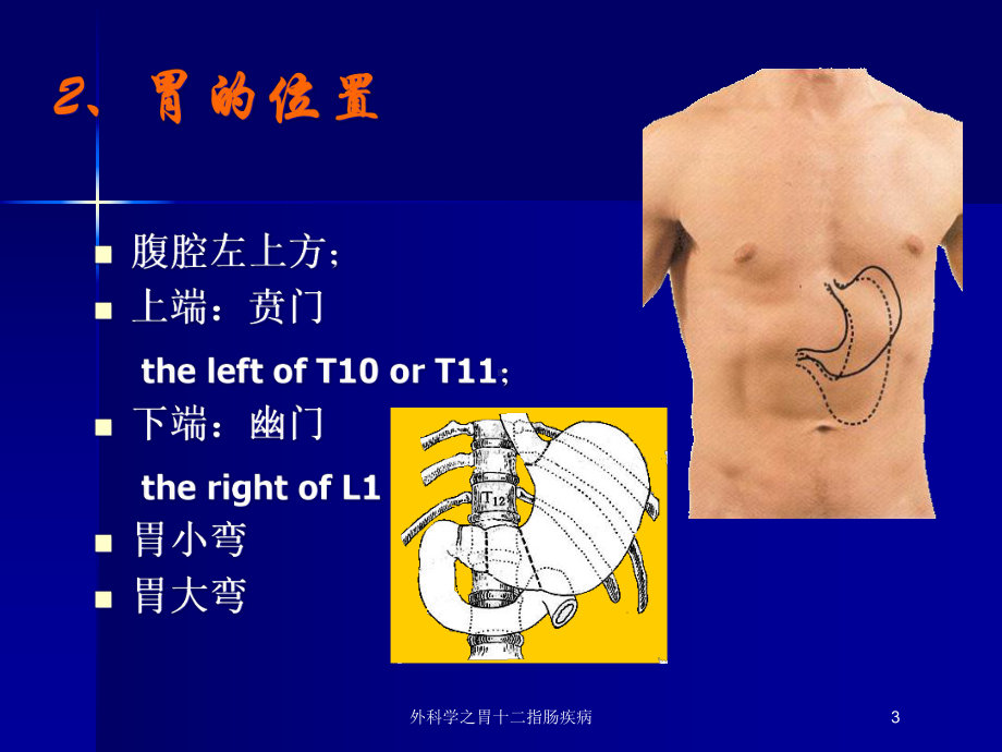 外科学之胃十二指肠疾病培训课件.ppt_第3页