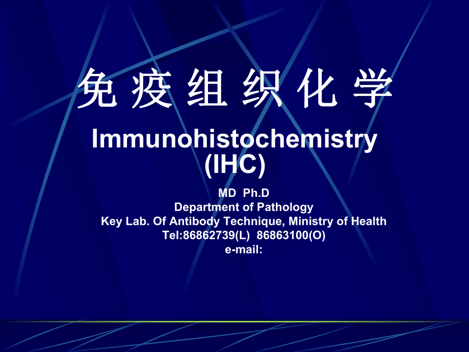 免疫组化的基本原理和相关技术问题课件.pptx_第1页