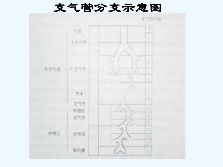 呼吸衰竭临床诊治课件-2.ppt_第2页