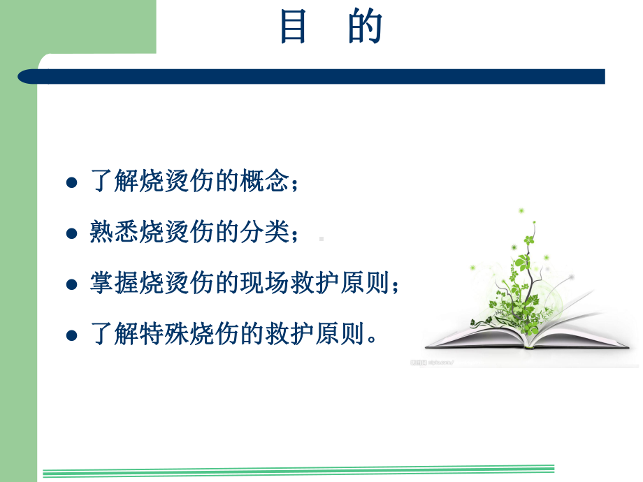 医学烧烫伤的院前急救专题培训课件.ppt_第2页